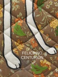 Cover: Feliciano Centurion - Americas Society,US