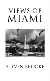 Enlarge image Cover: Views of Miami - Steven Brooke