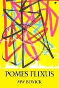 Cover: Pomes Flixus 2020 - Dunlin Press