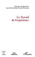 Cover: Le Travail de l'exp&eacute;rience - Action et savoir