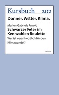 Cover: Schwarzer Peter im Kennzahlen-Roulette - Kursbuch