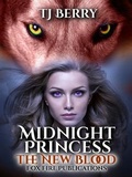Cover: Midnight Princess - Fox Fire Publications LLC