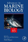 Cover: Sharks in Mexico: Research and Conservation Part B - Academic Press