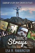 Cover: Taking In Strays - Sapphire Enterprises LLC