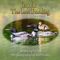 Cover: Loock - Aimhi Press