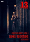 Cover: 13 SHADOWS, Band 46: DUNKLE BEGEGNUNG - BookRix