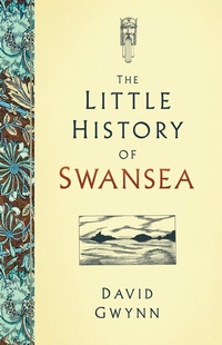Abbildung von: The Little History of Swansea - The History Press Ltd