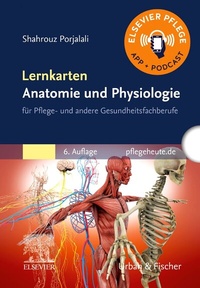 Abbildung von: Lernkarten Anatomie und Physiologie - Urban & Fischer
