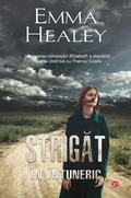 Cover: Strigat in Intuneric - Litera Media Group