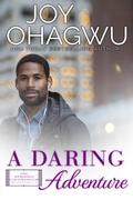 Cover: A Daring Adventure (After, New Beginnings & The Excellence Club Christian Inspirational Fiction, #12) - Divine Breakthrough Infinity