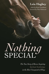 Enlarge image Cover: Nothing Special - Wipf and Stock Publishers