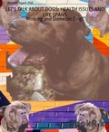 Cover: LET'S TALK ABOUT DOGS: HEALTH ISSUES AND LIFE SPANS - BookRix