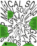 Cover: Magical Soup. Medienkunst aus der Sammlung der Nationalgalerie, der Friedrich Christian Flick Collection im Hamburger Bahnhof und Leihgaben - Wienand