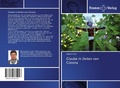 Cover: Glaube in Zeiten von Corona - Fromm Verlag