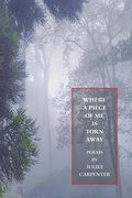 Cover: Where a Piece of Me is Torn Away - Baksun Books
