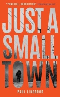 Abbildung von: Just a Small Town - Hookline Books