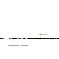 Enlarge image Cover: Theorem - Poetry Northwest Editions