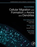 Abbildung von: Cellular Migration and Formation of Axons and Dendrites - Academic Press