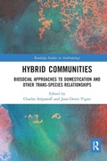 Cover: Hybrid Communities - Routledge