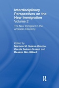 Cover: The New Immigrant in the American Economy - Routledge