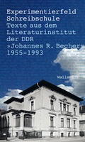 Cover: Experimentierfeld Schreibschule - Wallstein