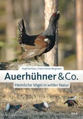 Bild: Auerhühner & Co. - AULA-Verlag