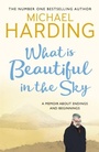 Cover: What is Beautiful in the Sky - Hachette Books Ireland