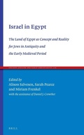 Cover: Israel in Egypt: The Land of Egypt as Concept and Reality for Jews in Antiquity and the Early Medieval Period - Brill