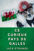 Cover: Ce Curieux Pays De Galles - Next Chapter