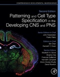 Abbildung von: Patterning and Cell Type Specification in the Developing CNS and PNS - Academic Press