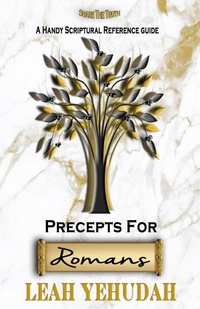Abbildung von: Precepts For Romans - Through The Fire Press