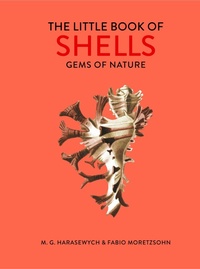 Enlarge image Cover: The Little Book of Shells - Ivy Press