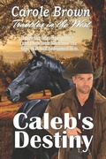 Cover: Caleb's Destiny - Story and Logic Media Group