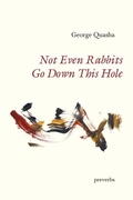 Cover: Not Even Rabbits Go Down This Hole - Spuyten Duyvil