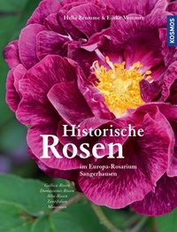 Abbildung von: Historische Rosen - Kosmos
