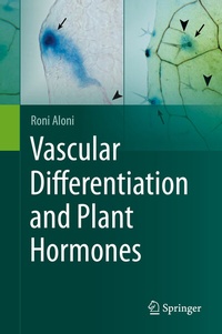 Abbildung von: Vascular Differentiation and Plant Hormones - Springer