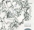 Cover: Ingrid Gaier. Radius - Schlebr&uuml;gge.Editor