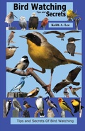 Cover: Bird Watching Tips and Secrets - Birdswire