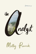 Cover: The Analyst - W. W. Norton & Company