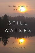Cover: Still Waters - W. W. Norton & Company