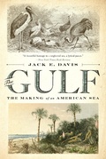 Cover: The Gulf - Liveright