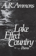 Cover: Lake Effect Country - W. W. Norton & Company