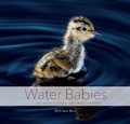 Cover: Water Babies - Countryman Press