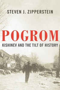 Enlarge image Cover: Pogrom - Liveright