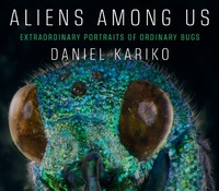 Abbildung von: Aliens Among Us: Extraordinary Portraits of Ordinary Bugs - Liveright