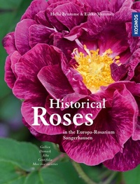 Abbildung von: Historical Roses - Kosmos