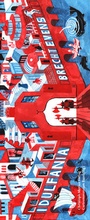 Cover: Idulfania - Christoph Merian Verlag