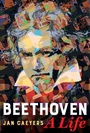 Cover: Beethoven, A Life - Naval Institute Press
