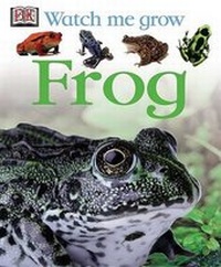 Enlarge image Cover: Frog - DK Publishing (Dorling Kindersley)