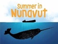 Cover: Summer in Nunavut - Inhabit Education Books Inc.